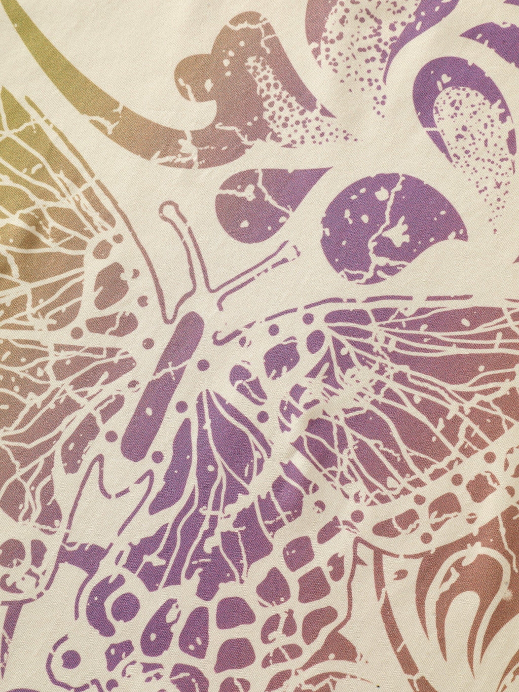 Cotton Gradient Butterfly Print Casual T‑Shirt