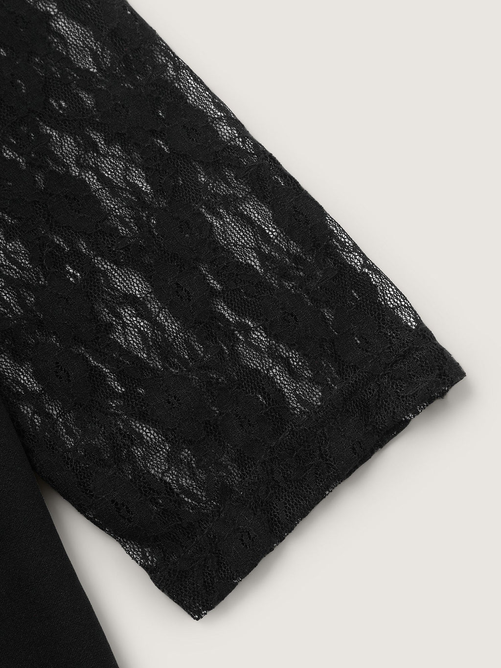 Sheer Lace Crisscross Plain Top