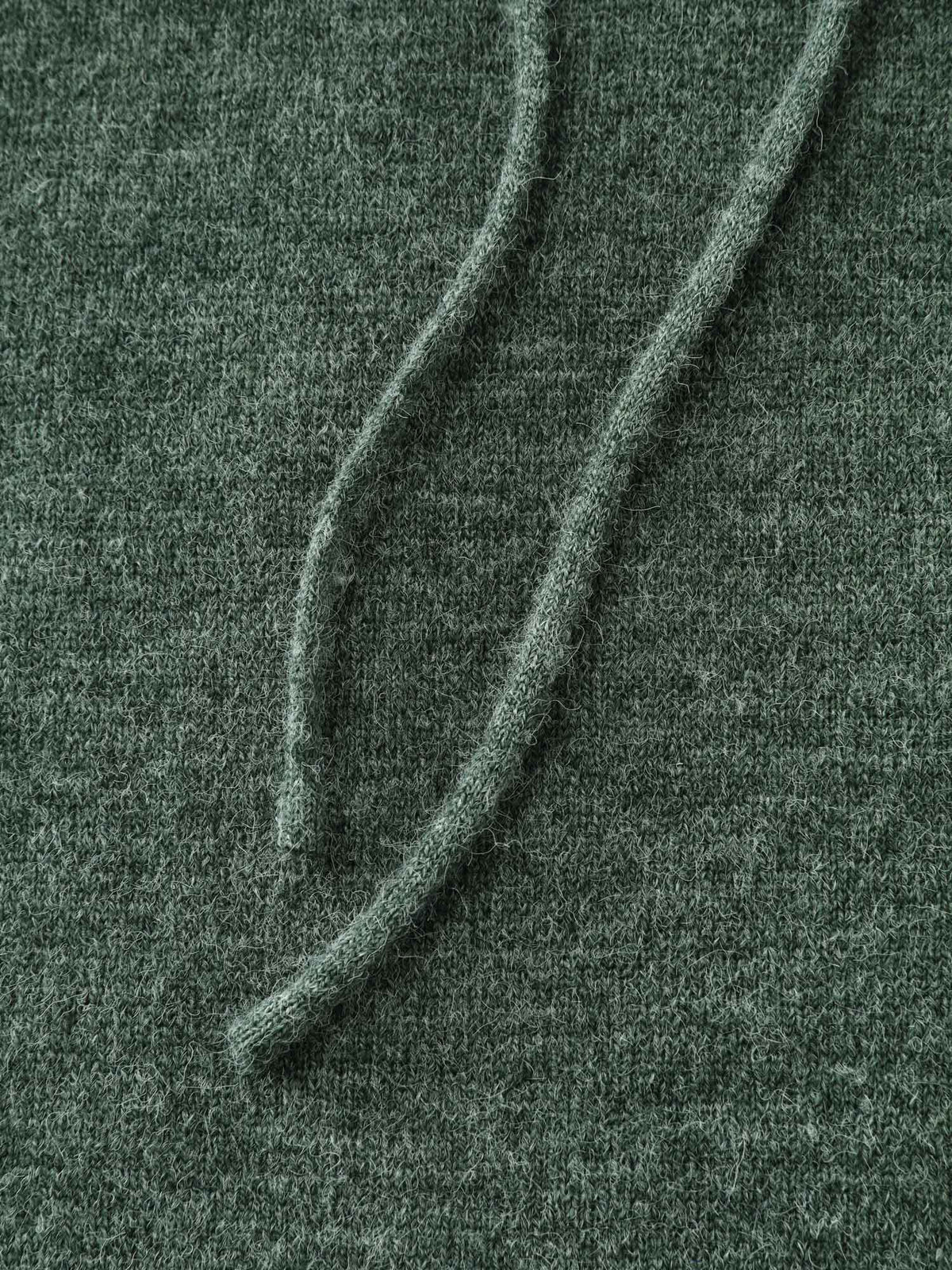 Hooded Turtleneck Plain Pullover