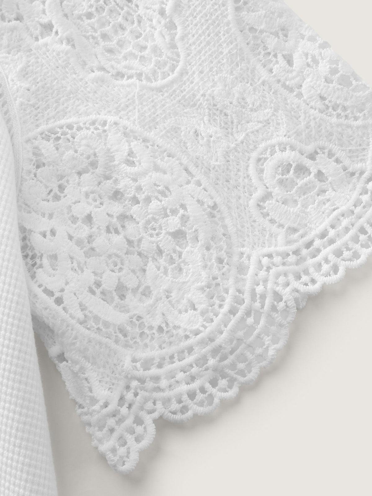 Lace Textured Flared Sleeve Plain Blouse