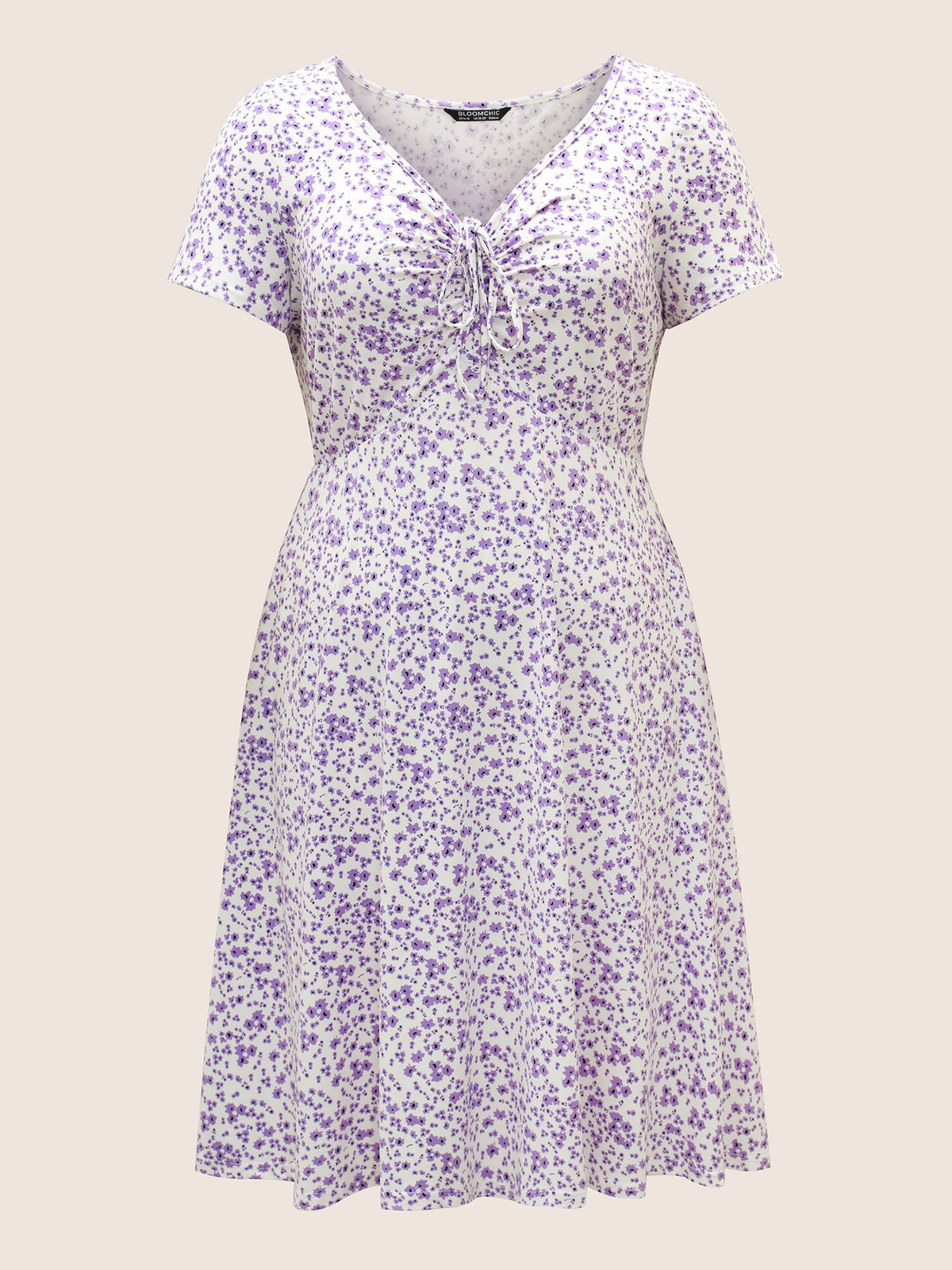 Ditsy Floral Elastic Waist Knot Drawstring Dress