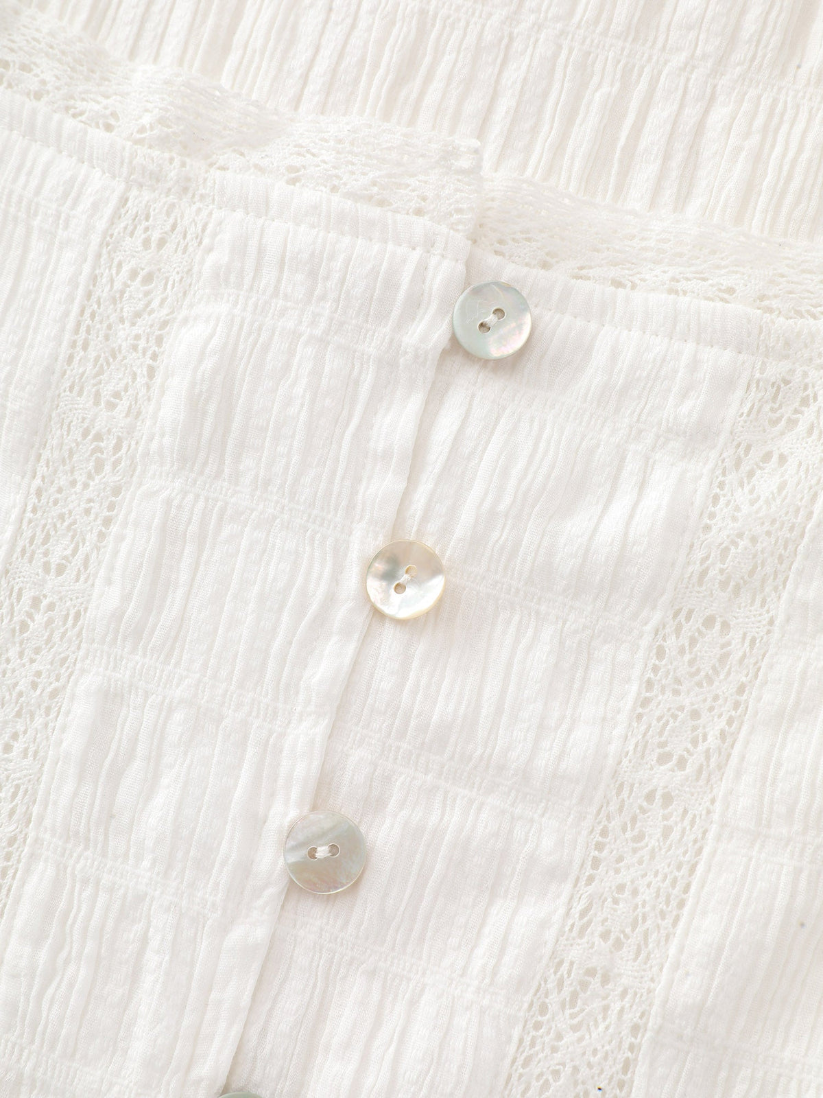 Lace Trim Sheer Ruffled Hem Blouse